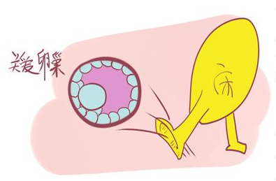 重慶送子鳥醫院