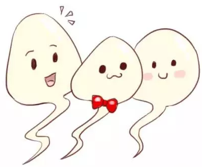 重慶送子鳥(niǎo)醫(yī)院