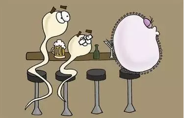 重慶送子鳥醫(yī)院