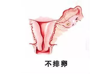 重慶送子鳥醫院