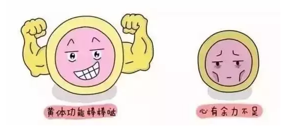 重慶送子鳥醫院