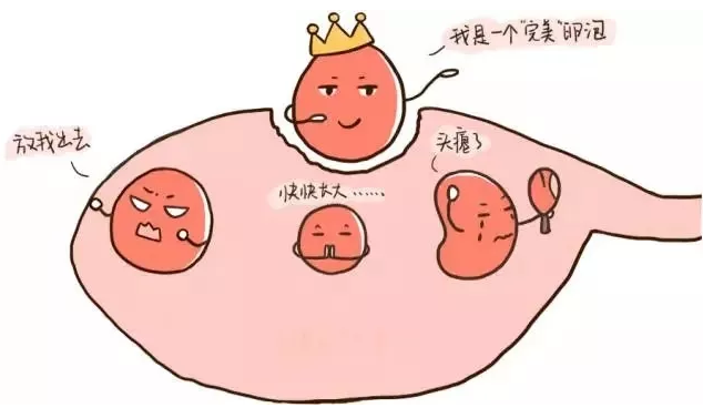 重慶送子鳥醫院