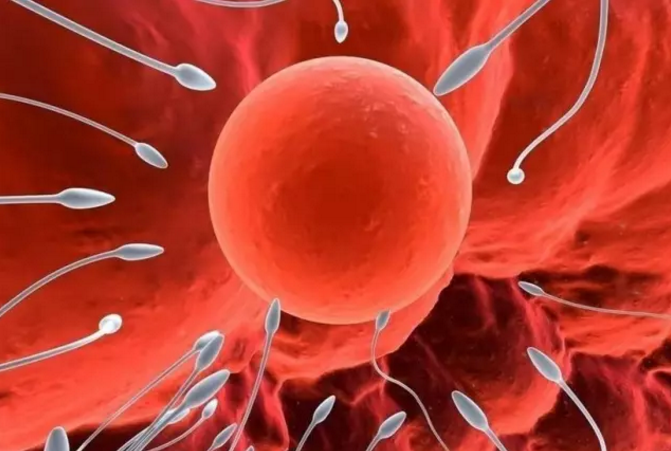 重慶送子鳥醫(yī)院