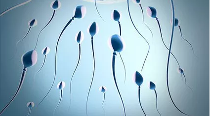 重慶送子鳥醫(yī)院