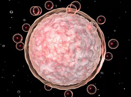 重慶送子鳥醫(yī)院