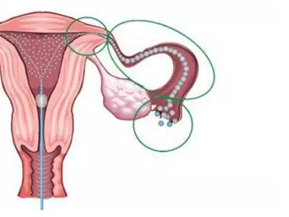 重慶送子鳥醫院