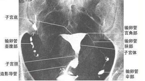 重慶送子鳥醫院
