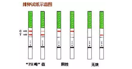 重慶送子鳥醫(yī)院