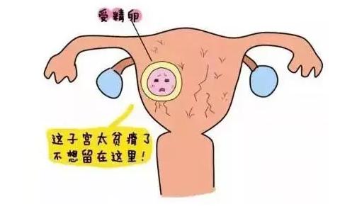 重慶送子鳥醫院