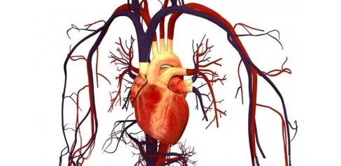 重慶送子鳥醫(yī)院