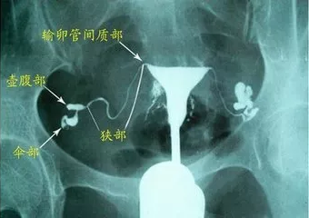 重慶送子鳥醫院