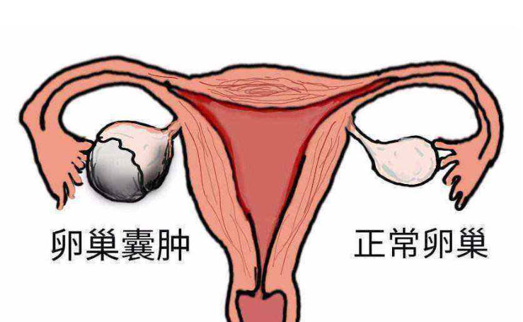 重慶送子鳥醫院