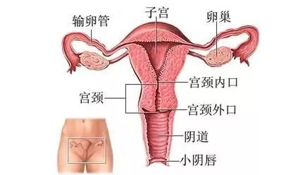 重慶送子鳥醫院