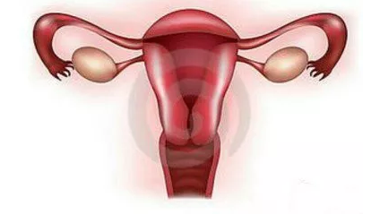 重慶送子鳥醫(yī)院