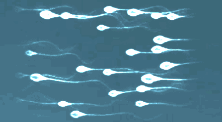 重慶送子鳥醫院