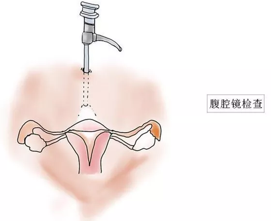 重慶送子鳥醫院