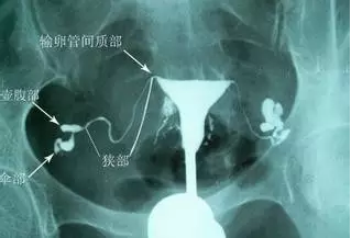 重慶送子鳥醫院