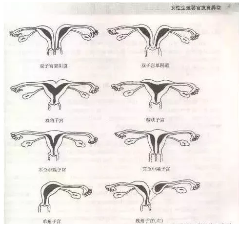 重慶送子鳥醫院
