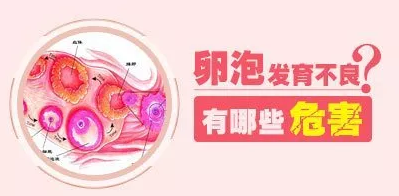 重慶送子鳥醫(yī)院