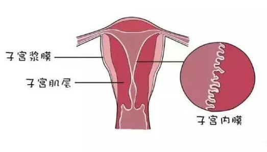 重慶送子鳥醫(yī)院