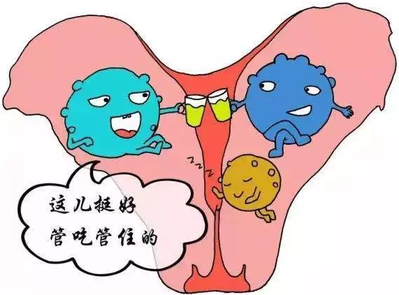 重慶送子鳥醫院