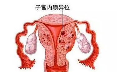 重慶送子鳥醫院