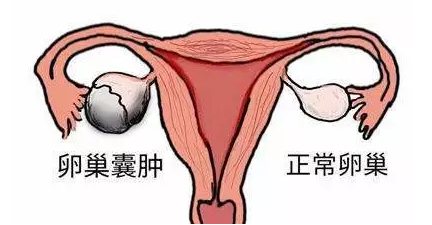 重慶送子鳥醫(yī)院