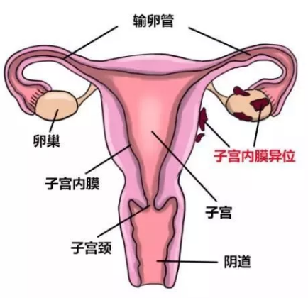 重慶送子鳥醫(yī)院