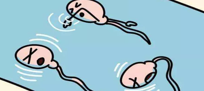 重慶送子鳥醫(yī)院