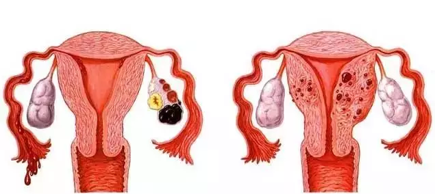 重慶送子鳥醫院