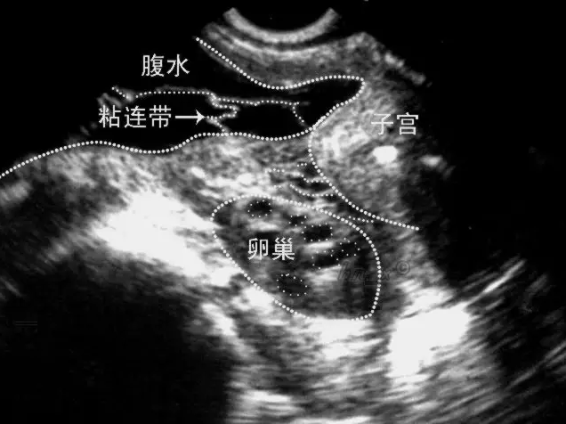 重慶送子鳥醫院