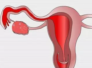 重慶送子鳥醫(yī)院